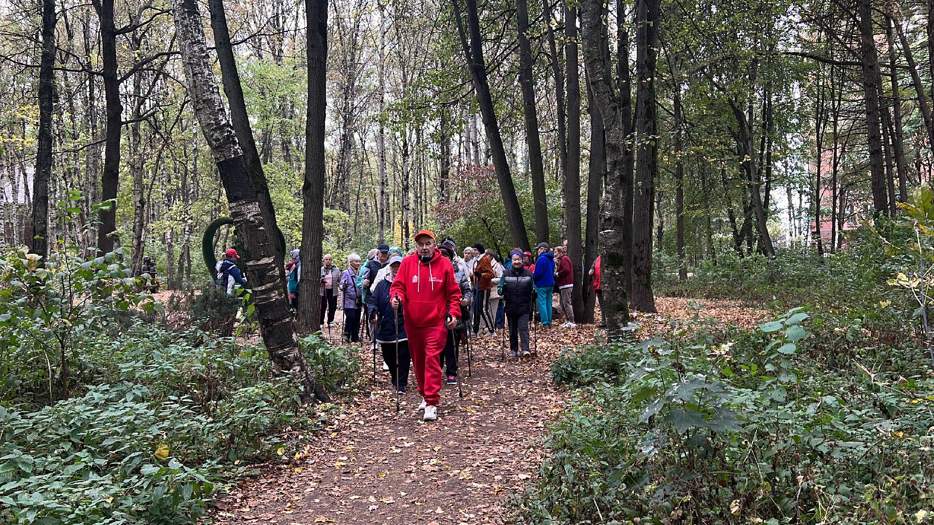 химки, активное долголетие, скандинавская ходьба, пожилые люди,