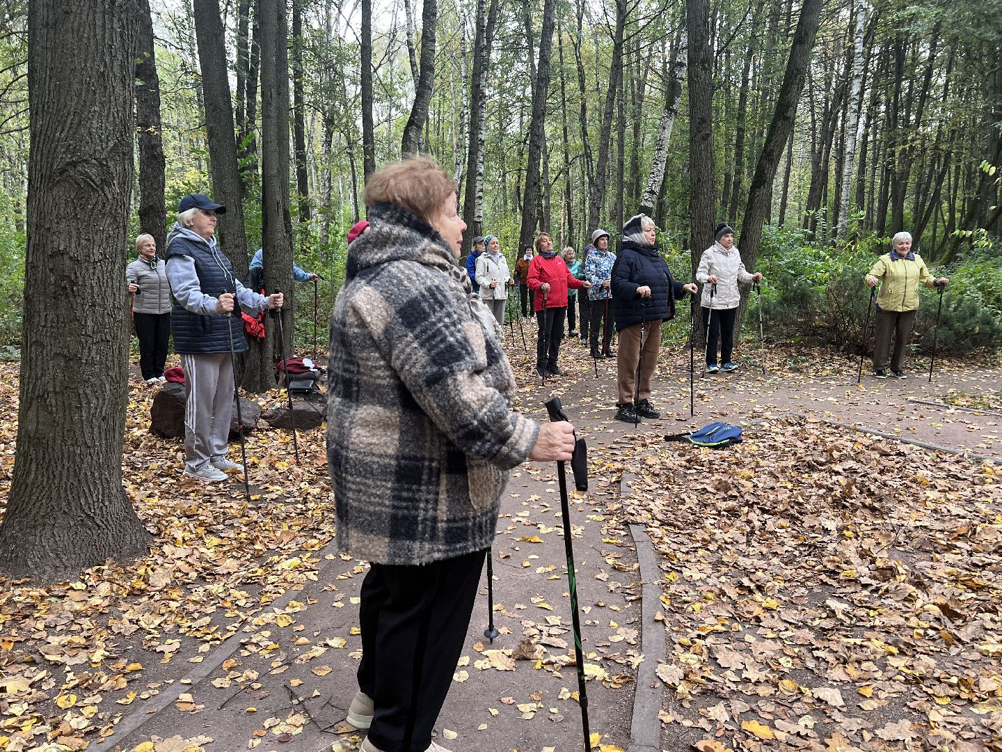 химки, активное долголетие, скандинавская ходьба, пожилые люди,