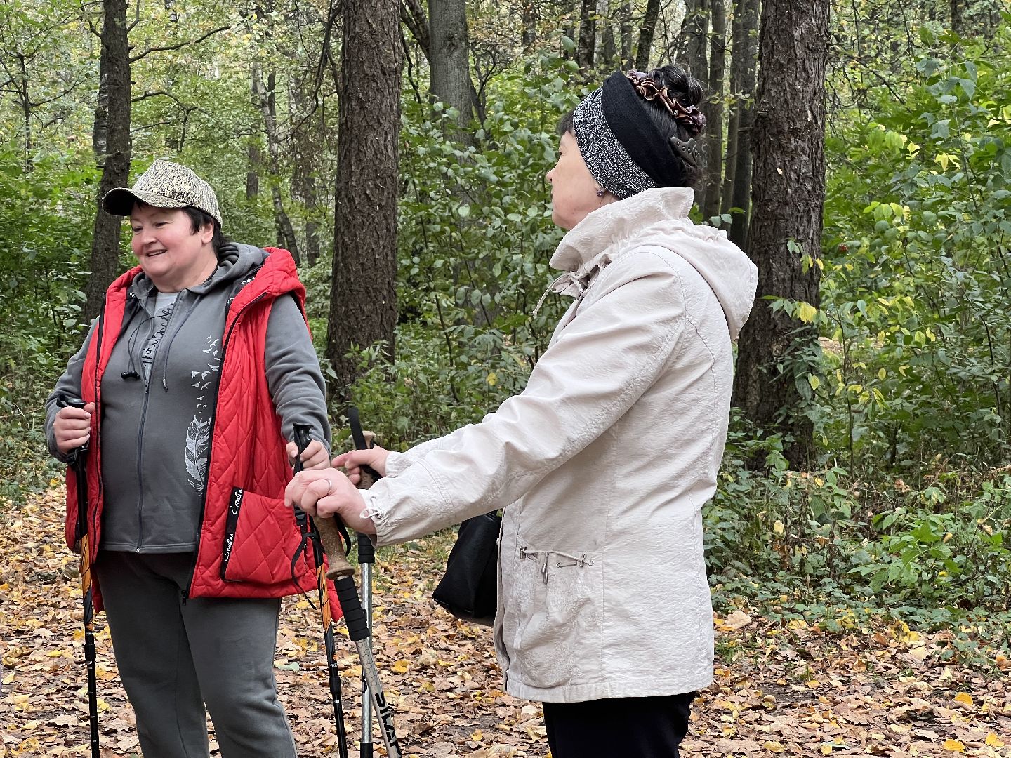 химки, активное долголетие, скандинавская ходьба, пожилые люди,