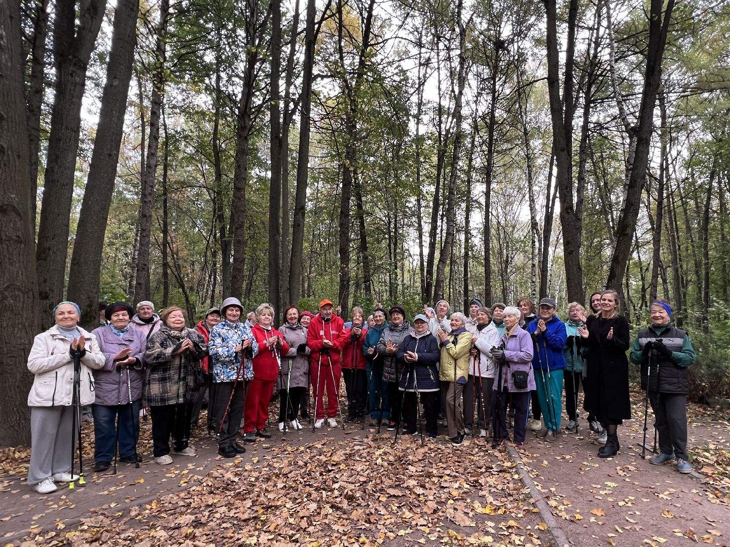 химки, активное долголетие, скандинавская ходьба, пожилые люди,