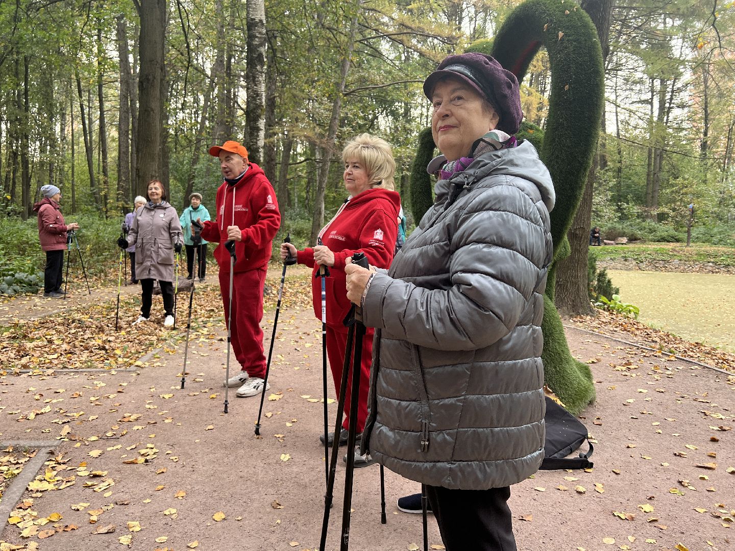 химки, активное долголетие, скандинавская ходьба, пожилые люди,