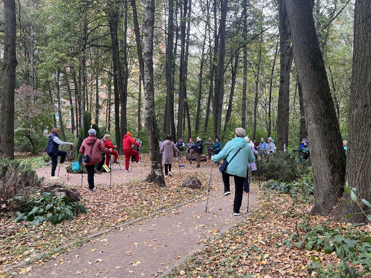 химки, активное долголетие, скандинавская ходьба, пожилые люди,