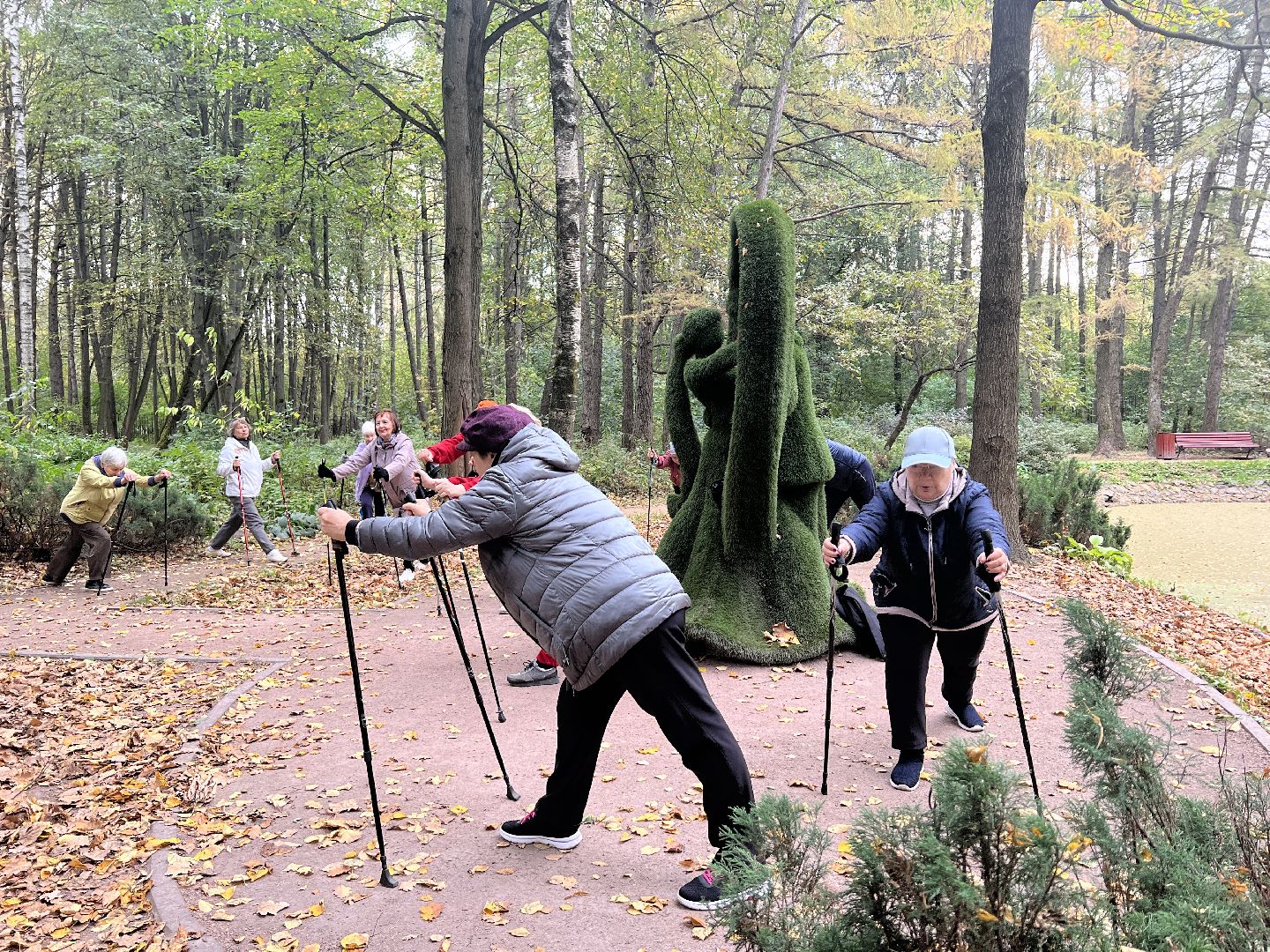 химки, активное долголетие, скандинавская ходьба, пожилые люди,