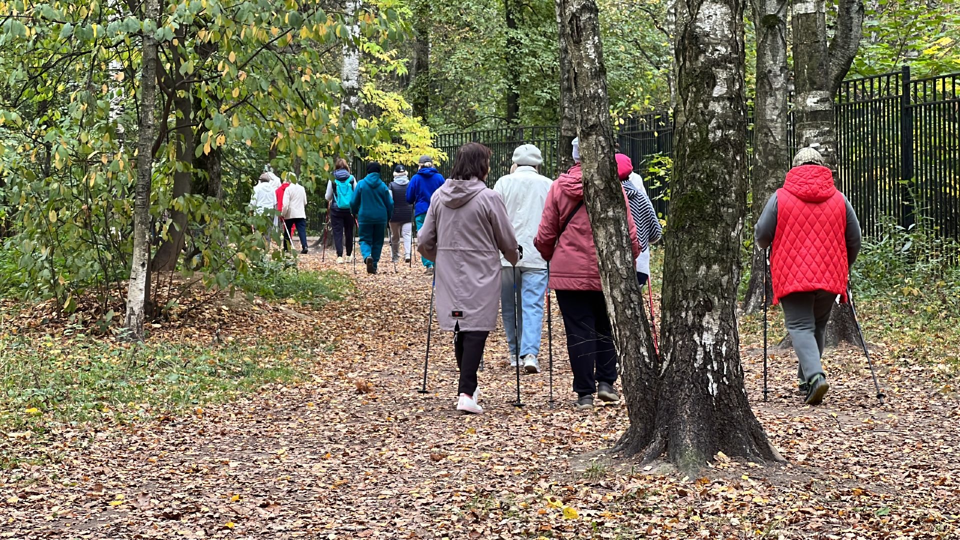 химки, активное долголетие, скандинавская ходьба, пожилые люди,