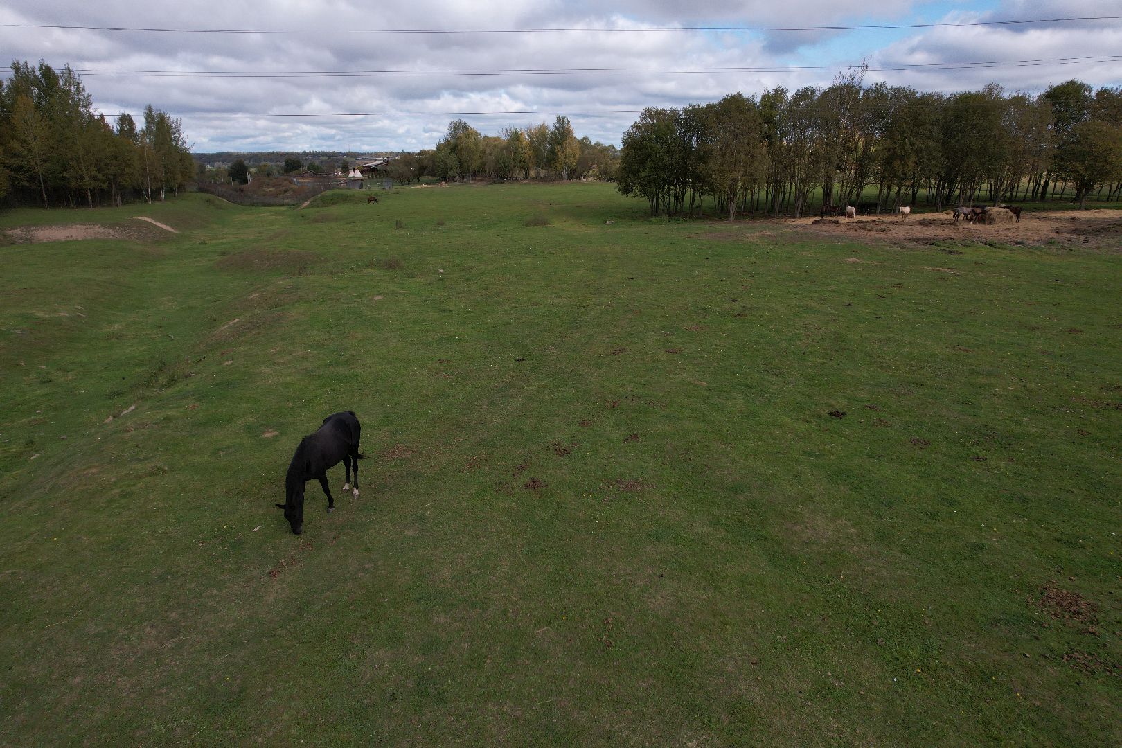 лошади, туризм, можайск,видео с коптера,