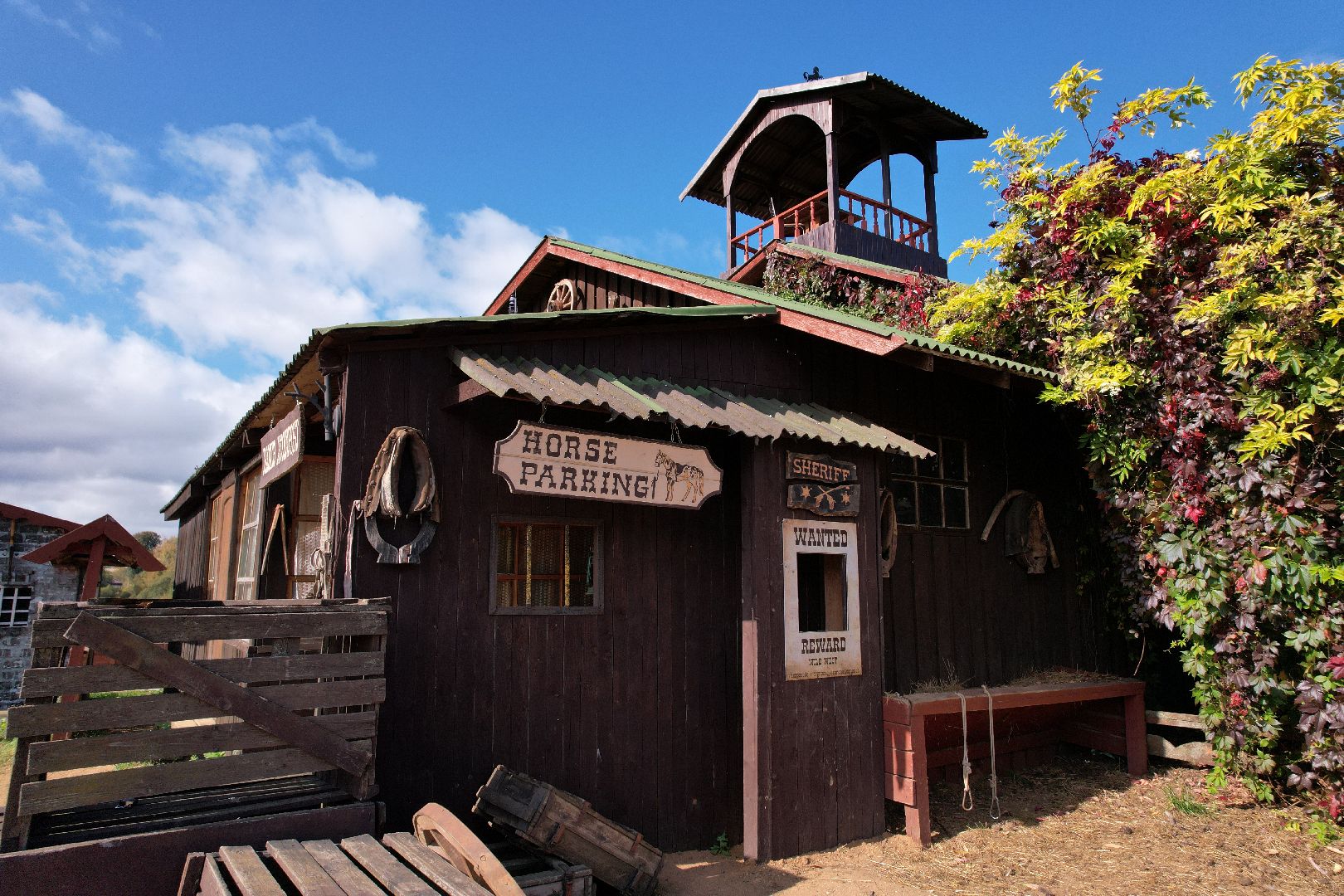 лошади, туризм, можайск,видео с коптера,