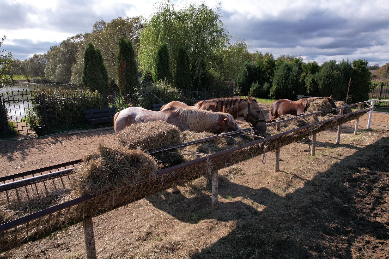 лошади, туризм, можайск,видео с коптера,