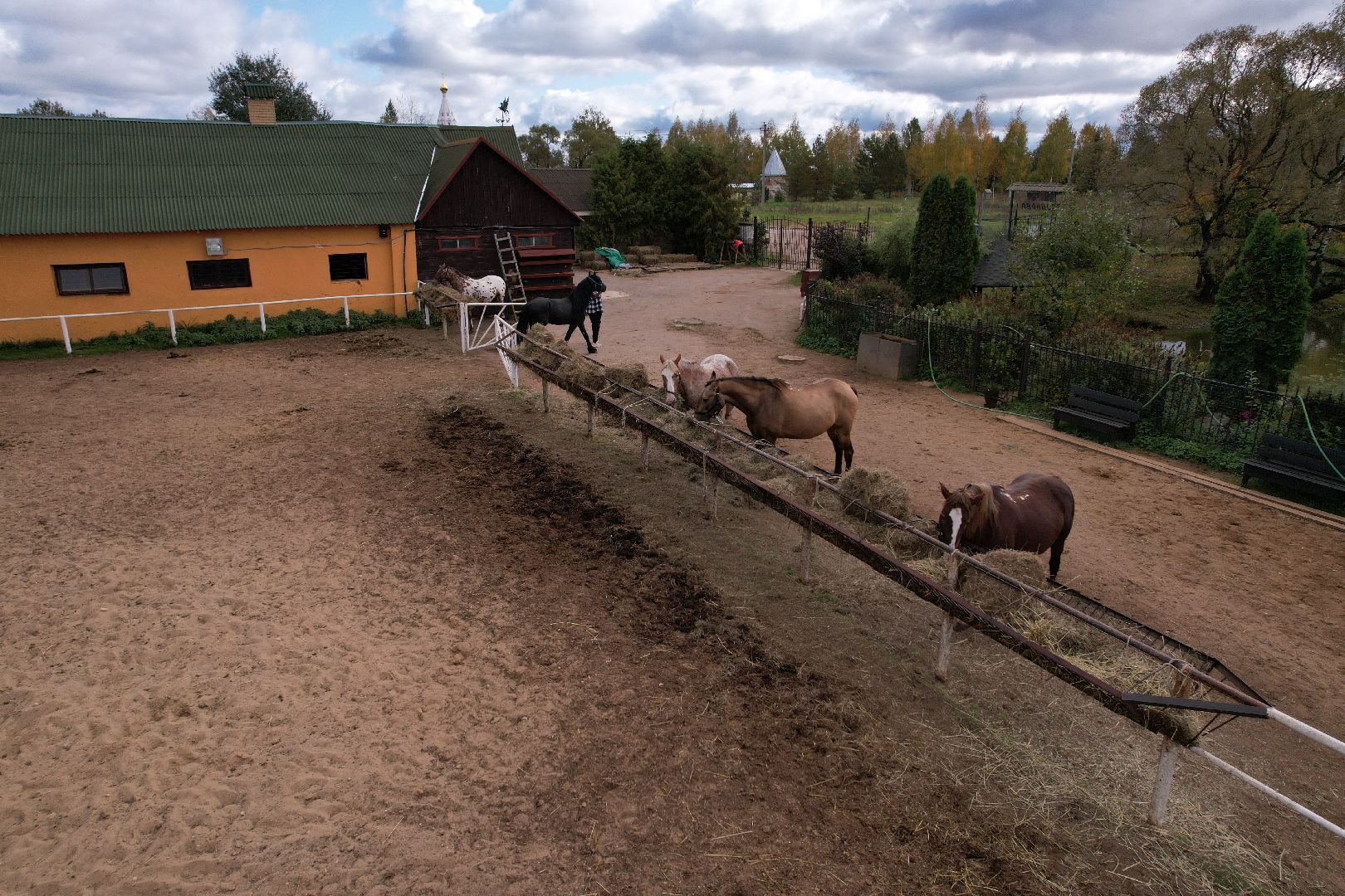 лошади, туризм, можайск,видео с коптера,