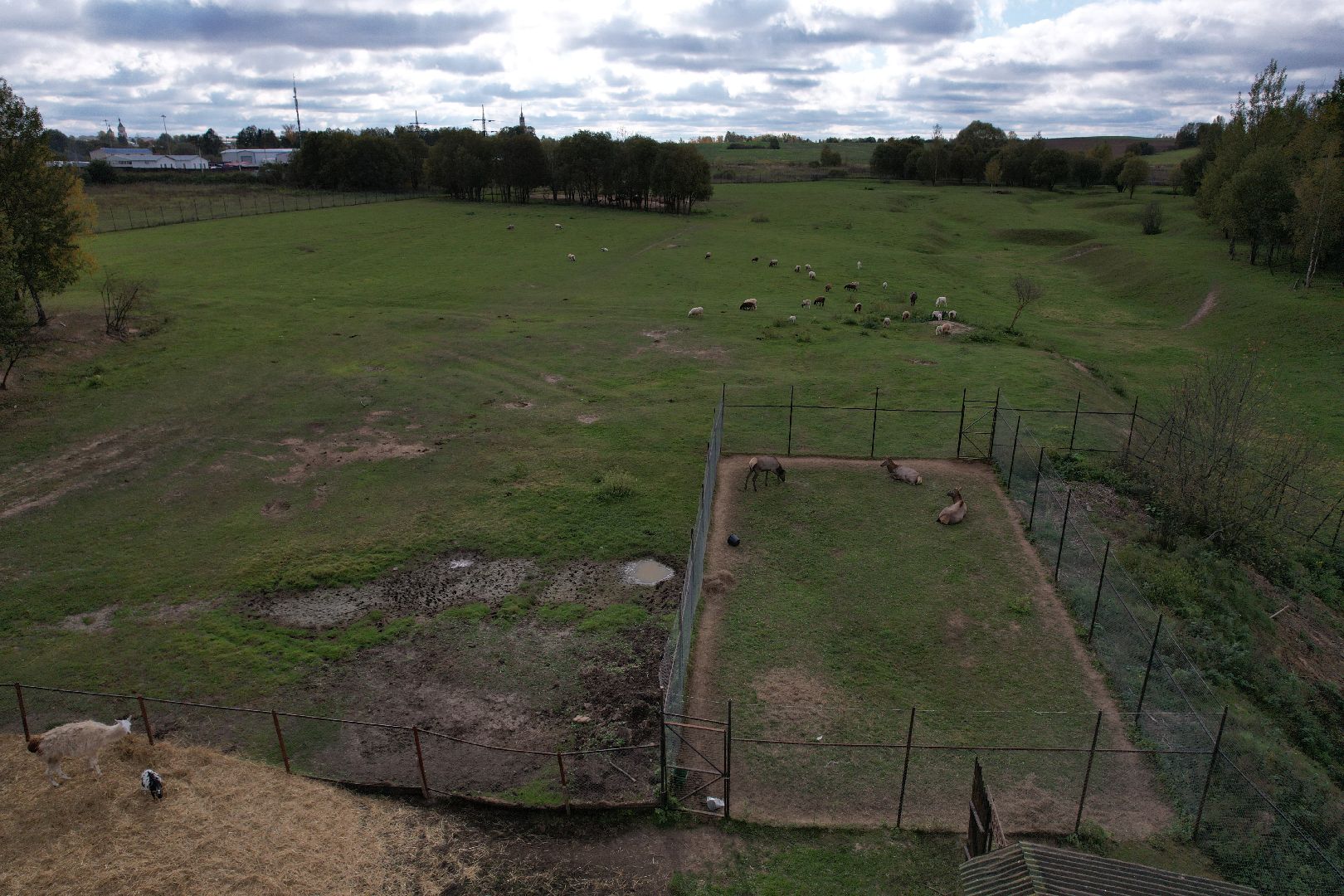 лошади, туризм, можайск,видео с коптера,