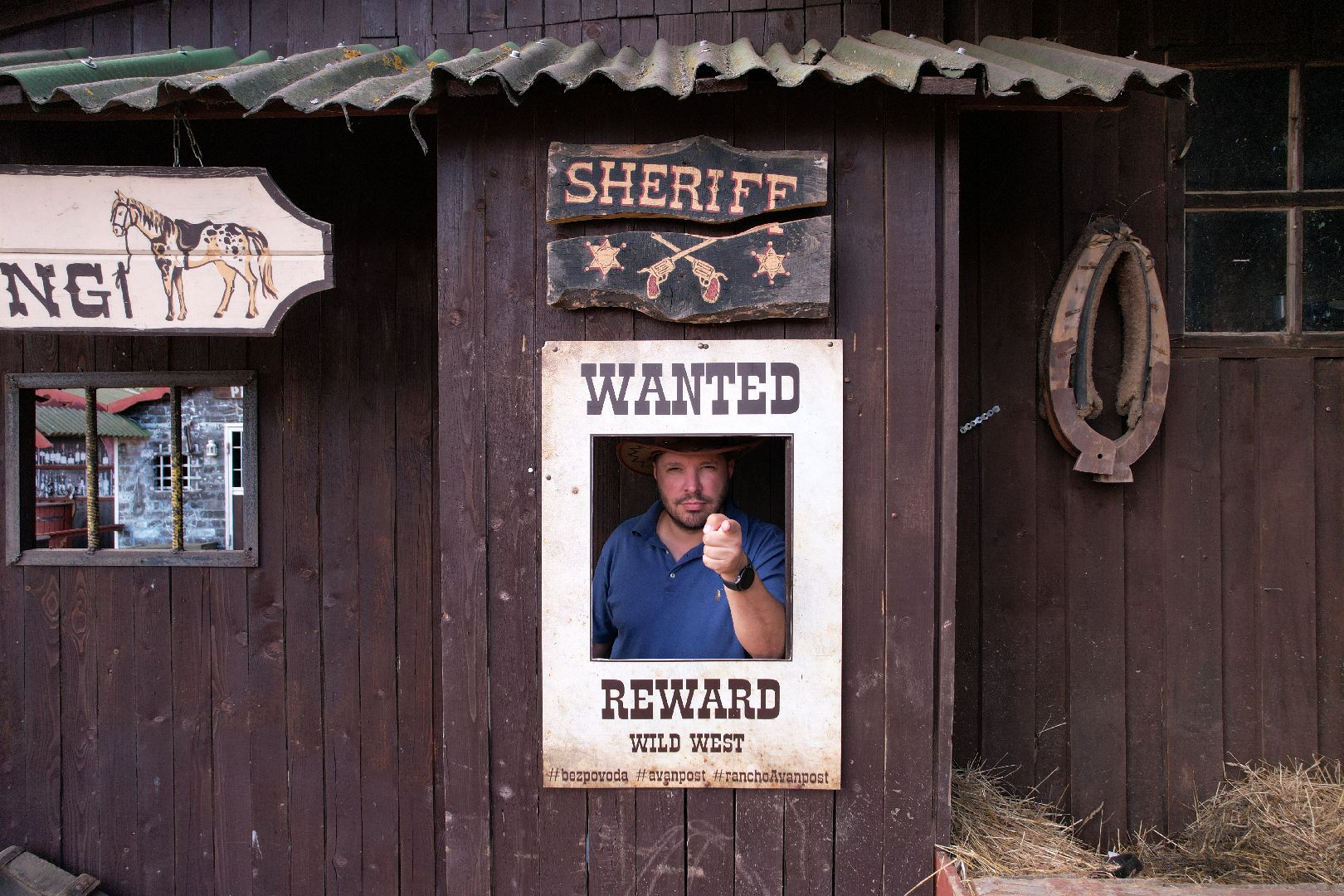 лошади, туризм, можайск,видео с коптера,