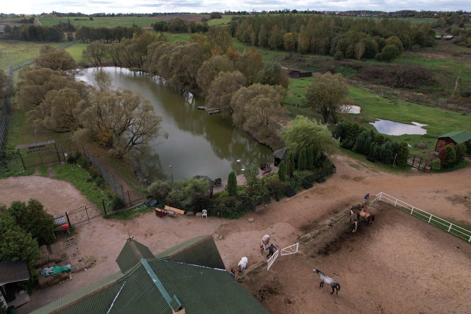 лошади, туризм, можайск,видео с коптера,