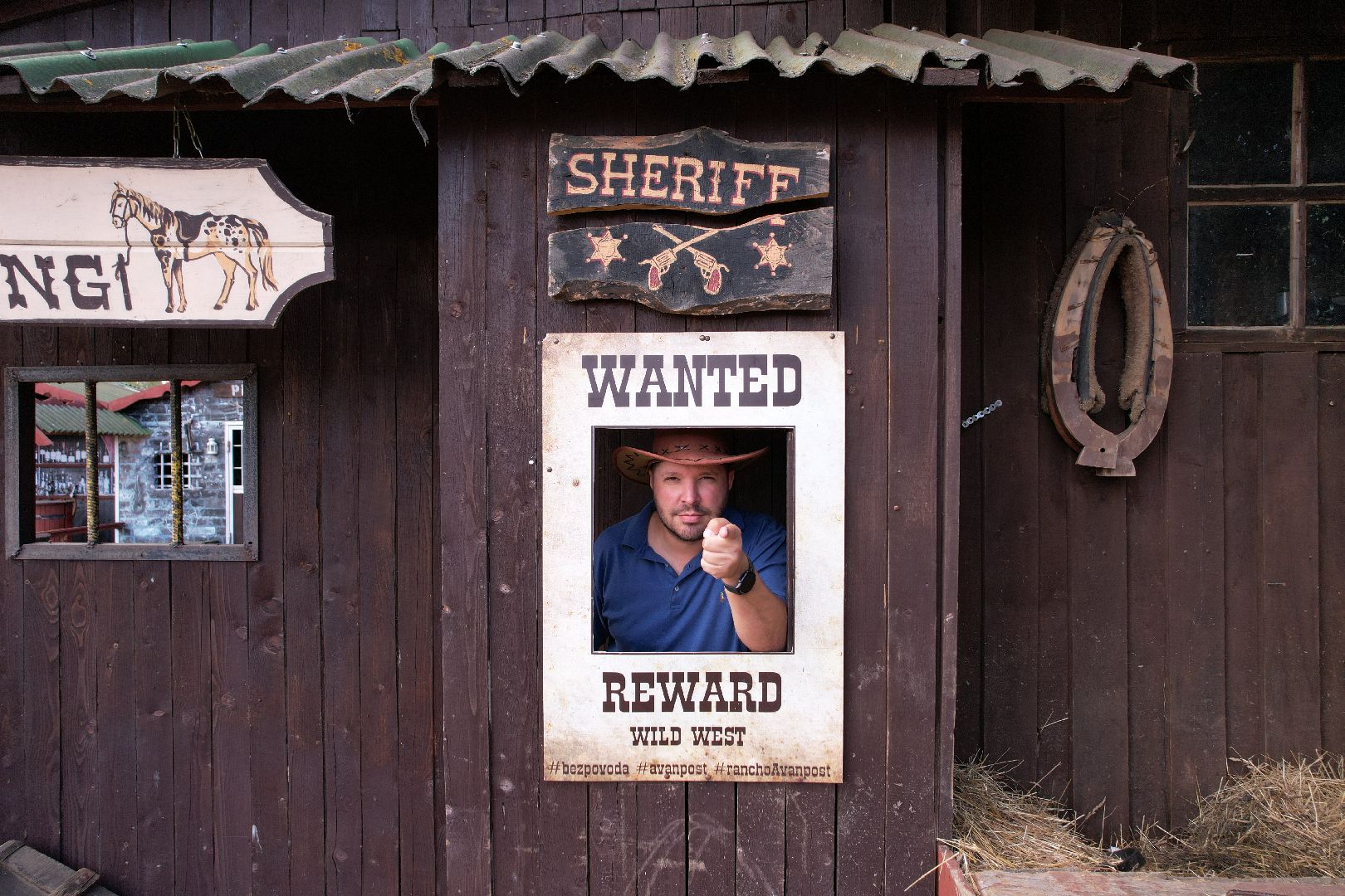 лошади, туризм, можайск,видео с коптера,