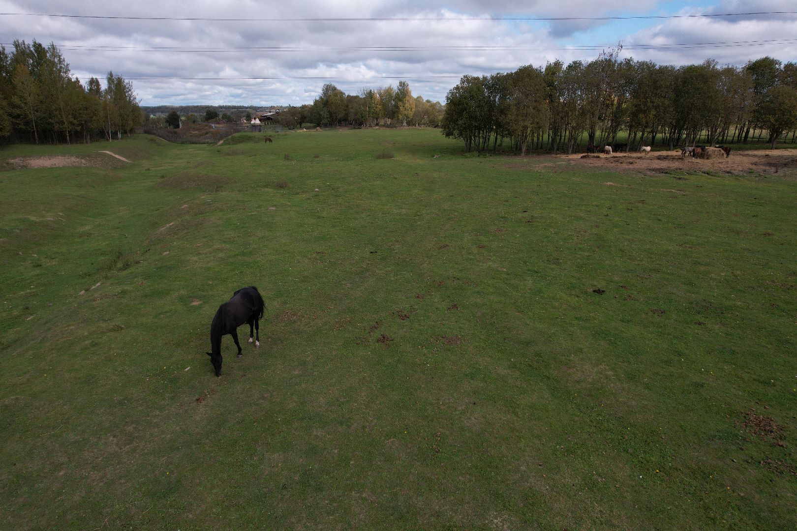 лошади, туризм, можайск,видео с коптера,
