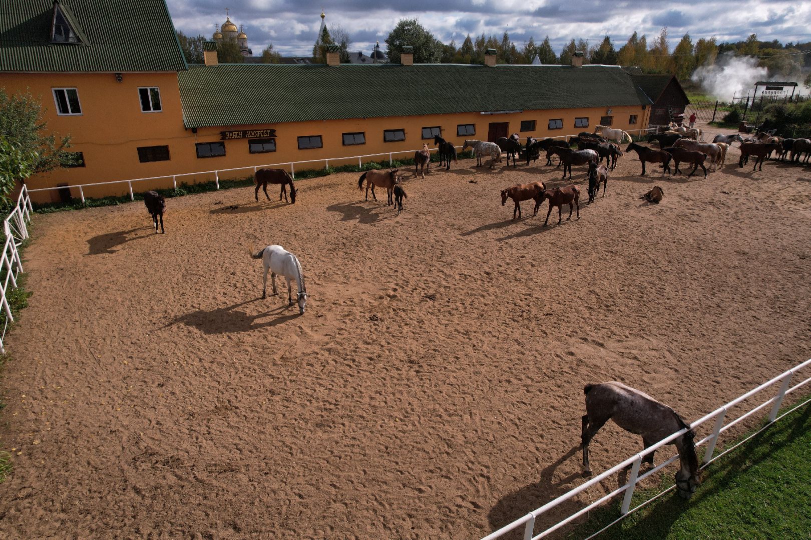 лошади, туризм, можайск,видео с коптера,