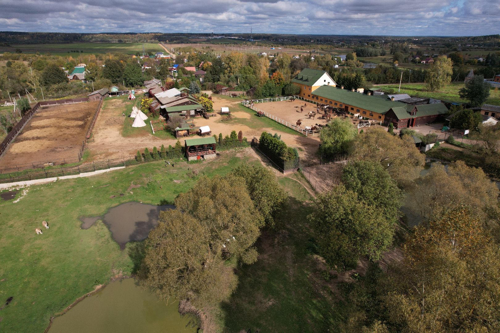 лошади, туризм, можайск,видео с коптера,