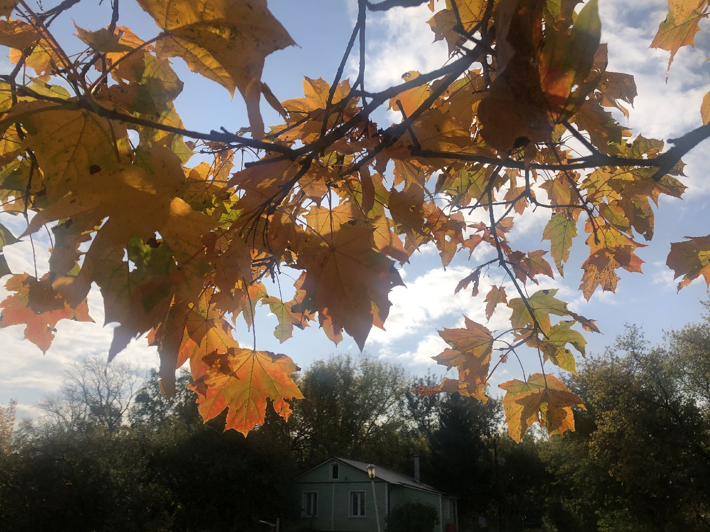 погода, коломна, бабье лето,