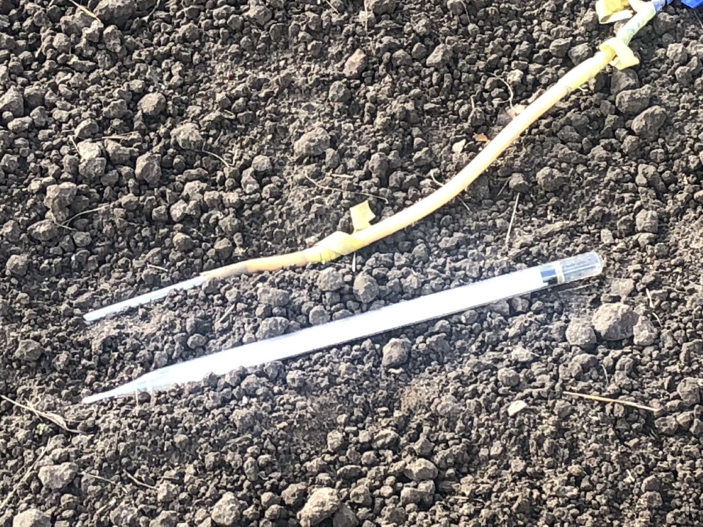 погода, коломна, бабье лето,