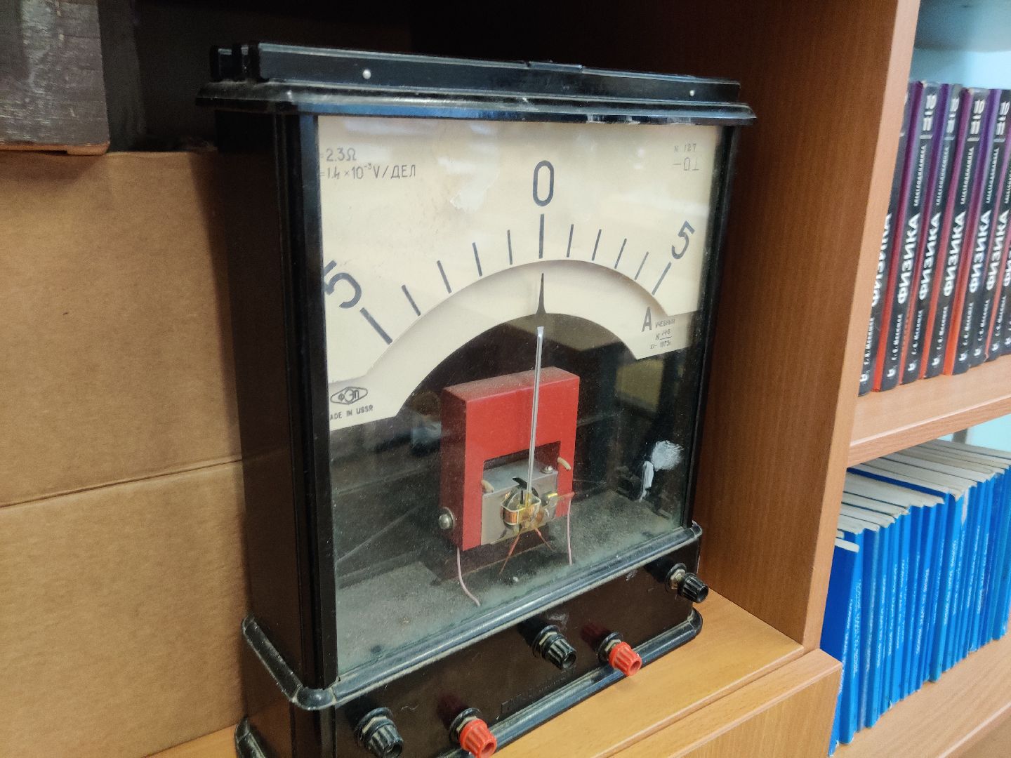 красноармейск, г.о. пушкинский, династия учителей, день учителя,