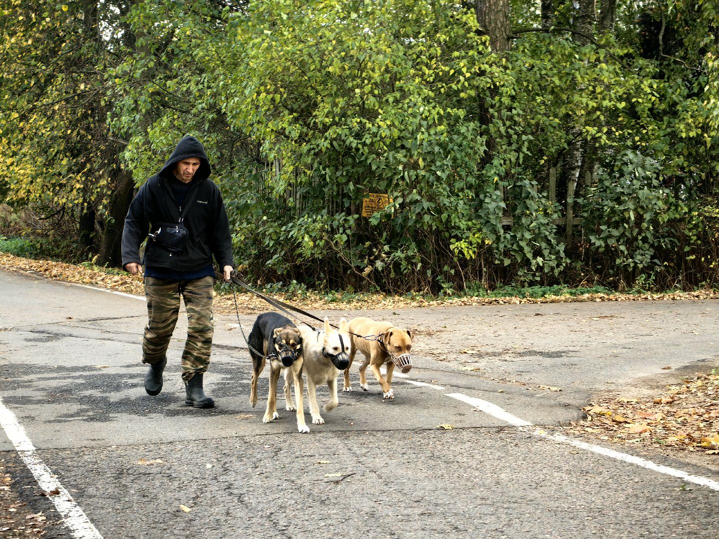 мусор, конейнер, оператор, площадка, Добродел,