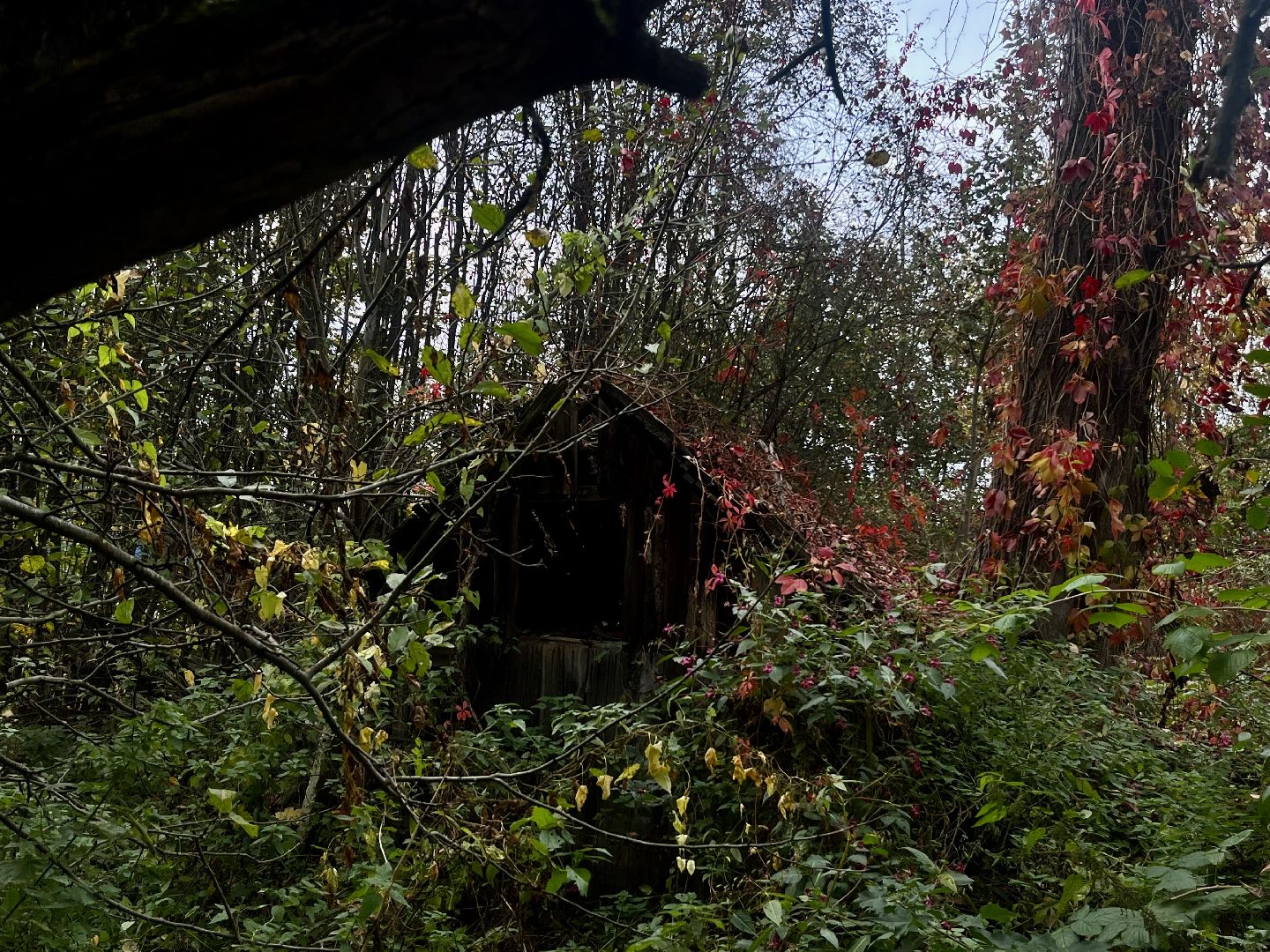Наро-Фоминск, история Подмосковья, Часовня, туризм в подмосковье, таинственные истории,