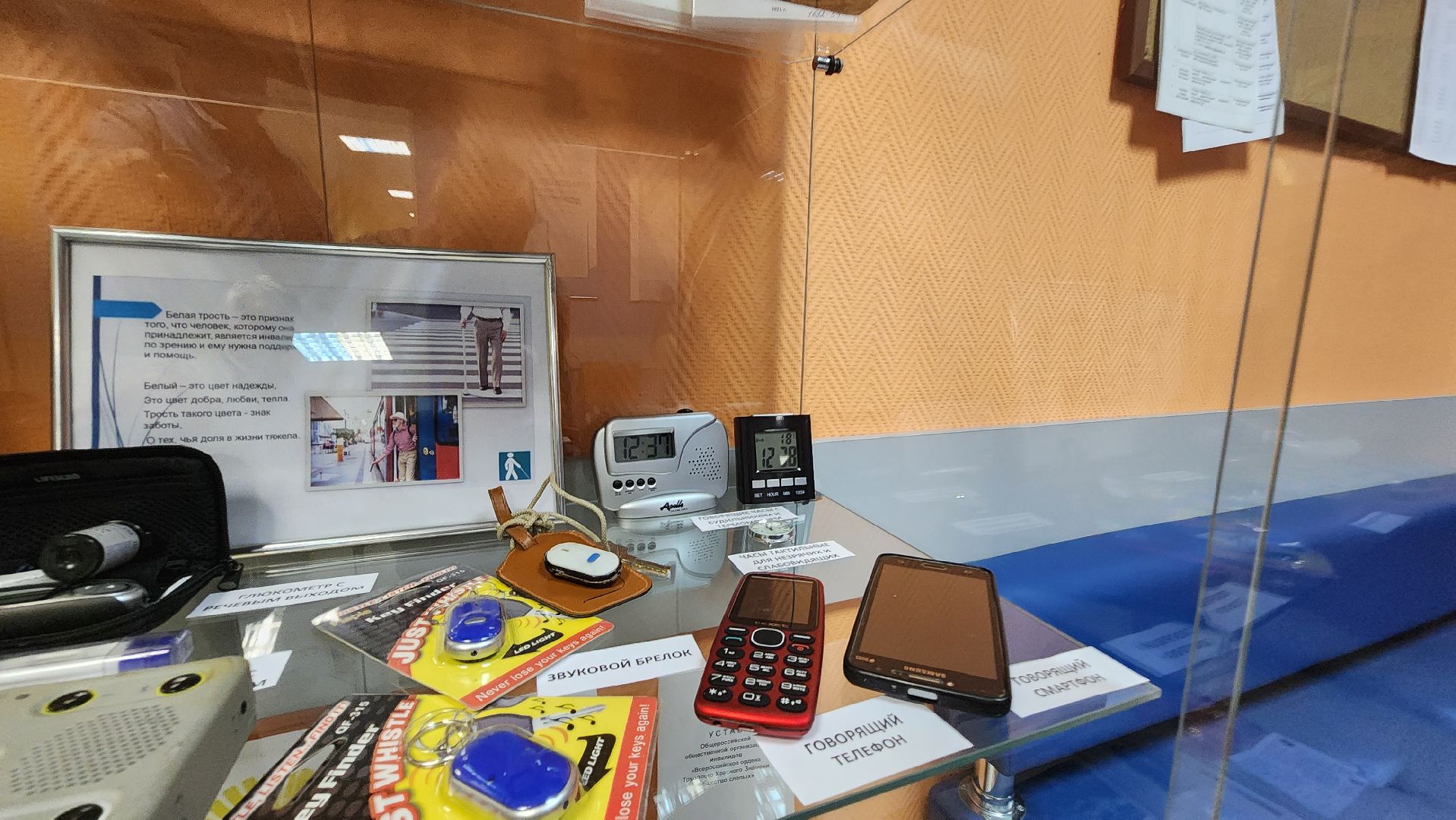 долгопрудный, слепые, гаджеты для слепых, День белой трости,