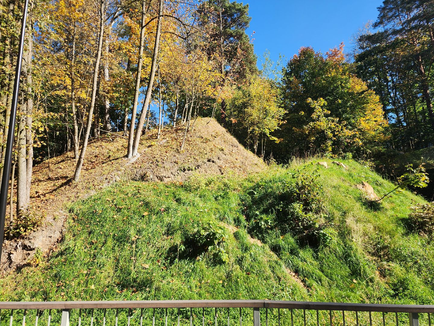 Звенигород, Туризм, Активное долголетие, Увлечения, Интересные люди,