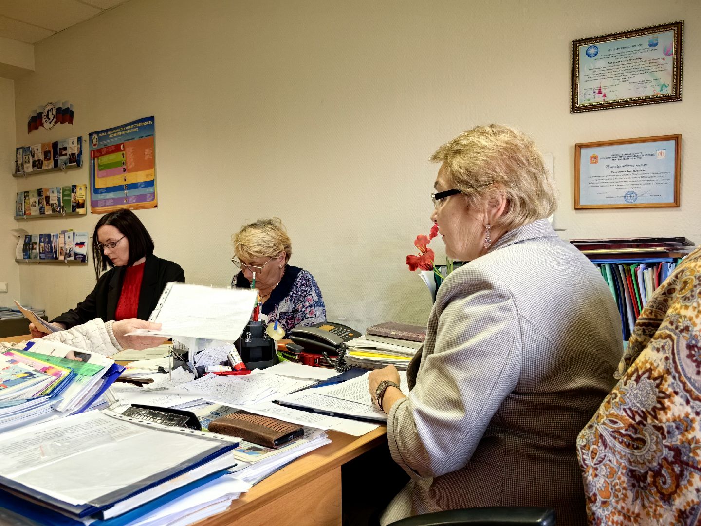 адвокат, права, кабинет, защита, закон,