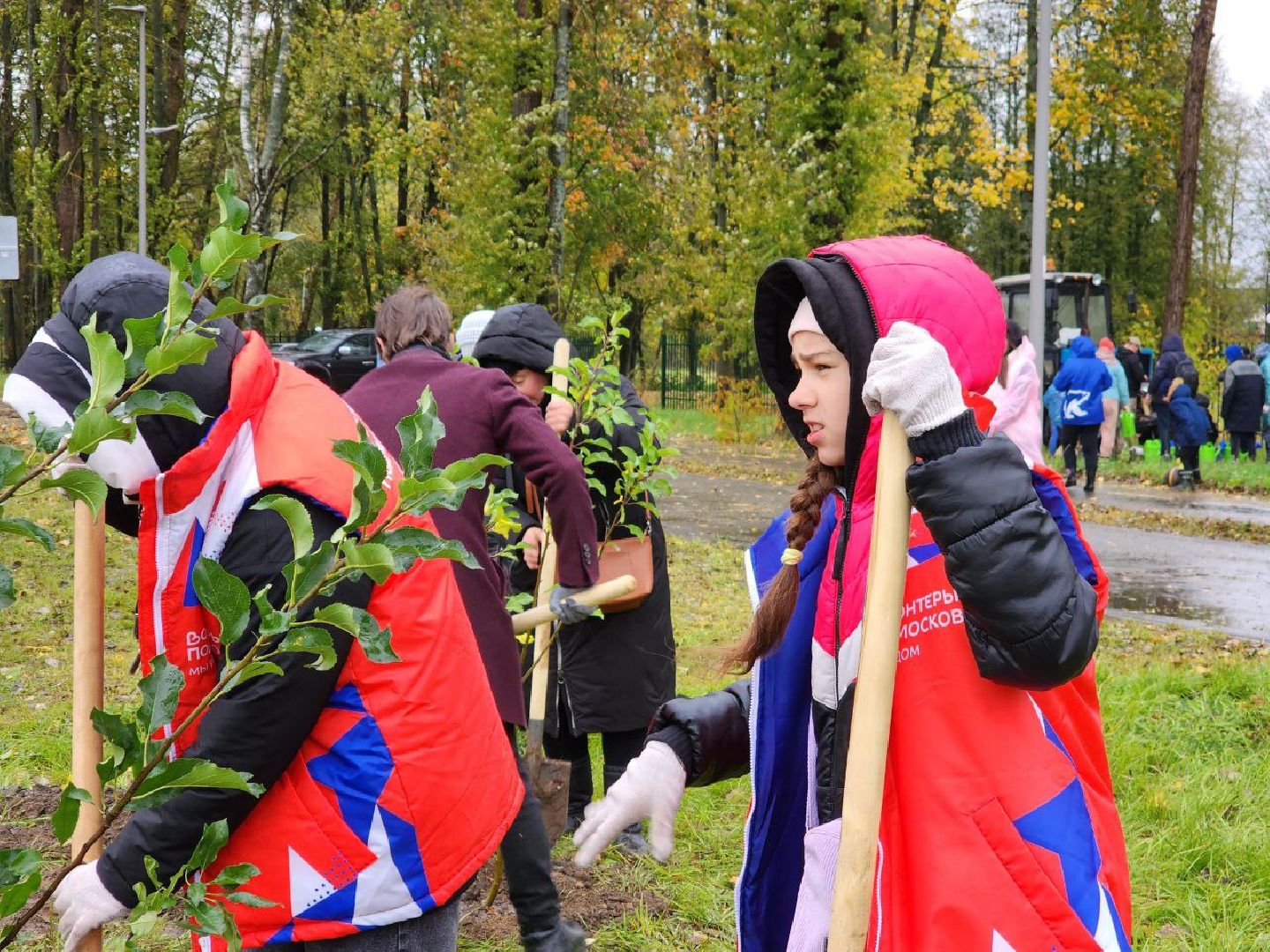 Можайск, можайский городской округ, подмосковье, яблоневый сад, яблони, деревья, акции, сво, военнослужащие, поддержка, память,