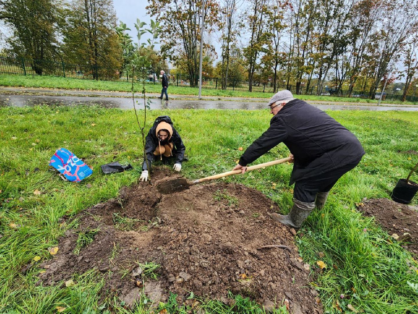 Можайск, можайский городской округ, подмосковье, яблоневый сад, яблони, деревья, акции, сво, военнослужащие, поддержка, память,
