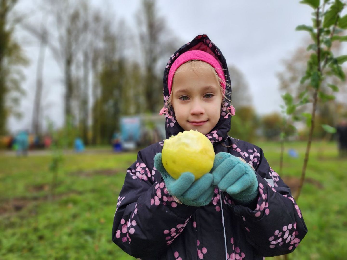 Можайск, можайский городской округ, подмосковье, яблоневый сад, яблони, деревья, акции, сво, военнослужащие, поддержка, память,