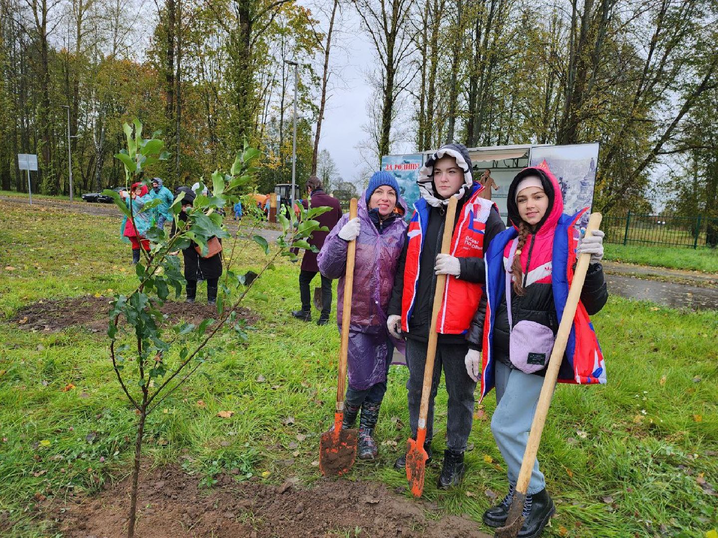 Можайск, можайский городской округ, подмосковье, яблоневый сад, яблони, деревья, акции, сво, военнослужащие, поддержка, память,