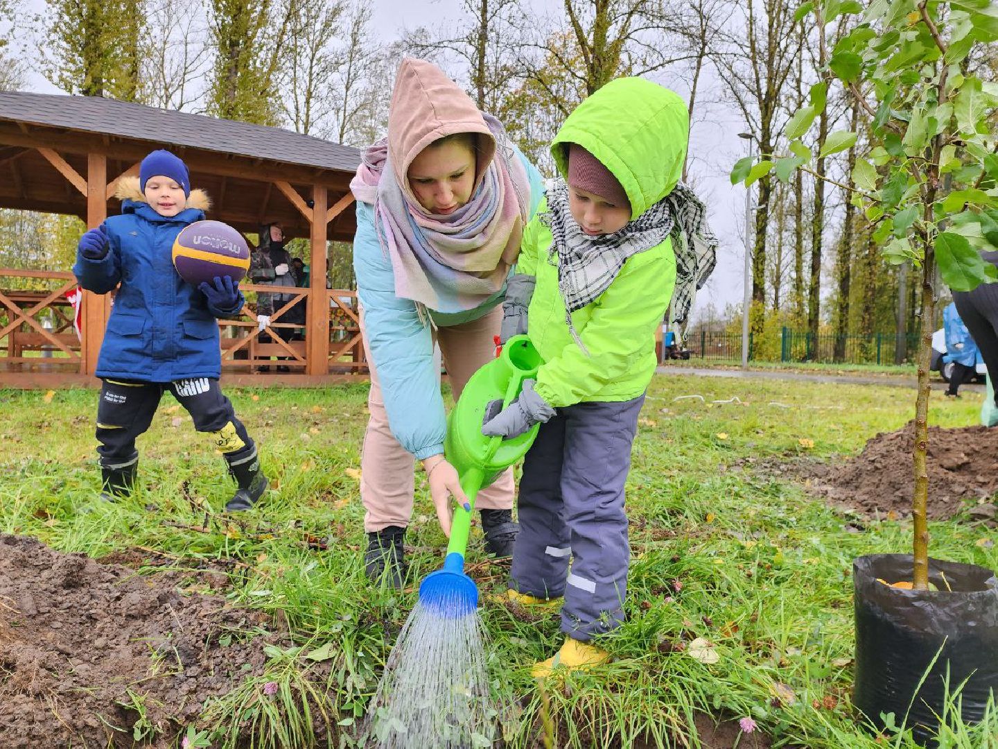 Можайск, можайский городской округ, подмосковье, яблоневый сад, яблони, деревья, акции, сво, военнослужащие, поддержка, память,