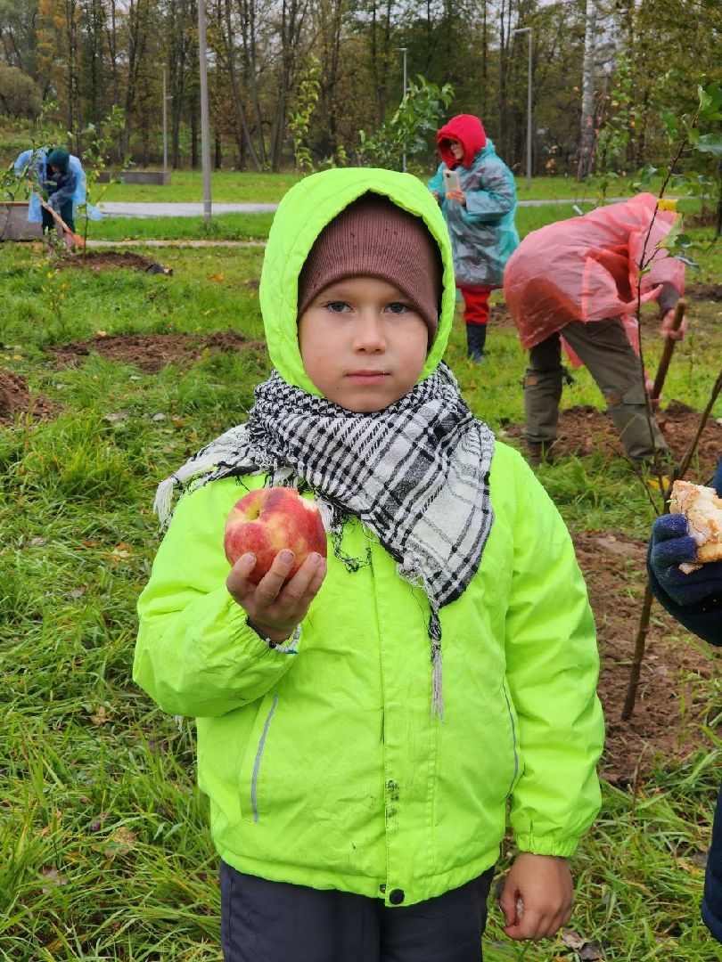 Можайск, можайский городской округ, подмосковье, яблоневый сад, яблони, деревья, акции, сво, военнослужащие, поддержка, память,