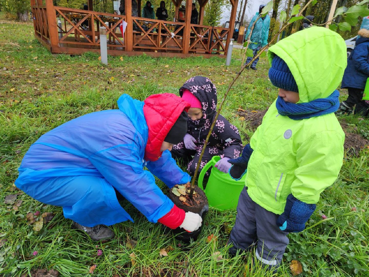Можайск, можайский городской округ, подмосковье, яблоневый сад, яблони, деревья, акции, сво, военнослужащие, поддержка, память,