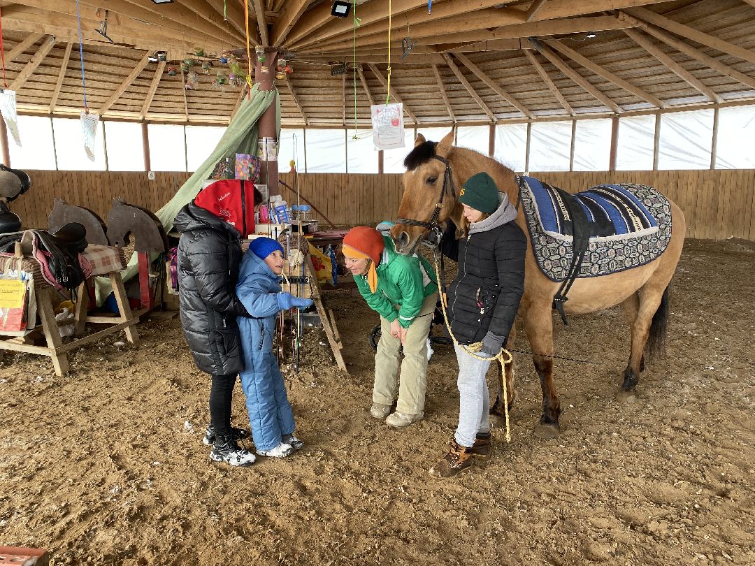 Ребенок, ДЦП, иппотерапия