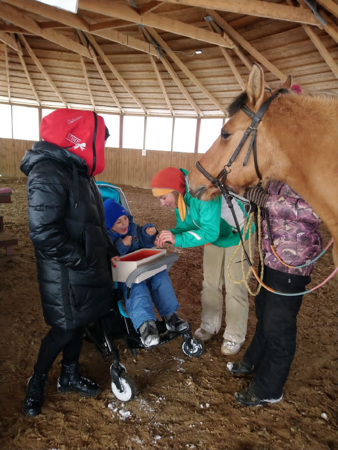 Ребенок, ДЦП, иппотерапия