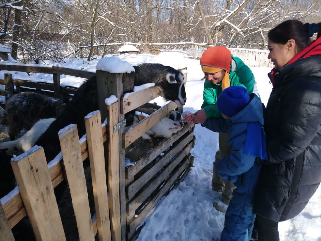 Ребенок, ДЦП, иппотерапия