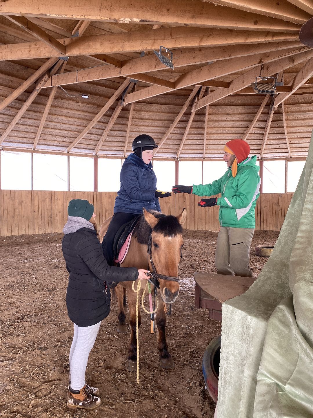 Ребенок, ДЦП, иппотерапия