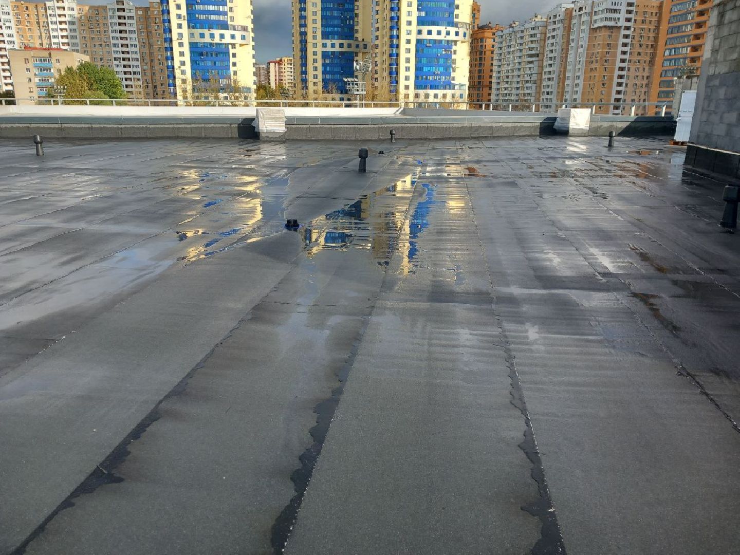 Реутов, ФОК, коплекс, спорт, бассейн,