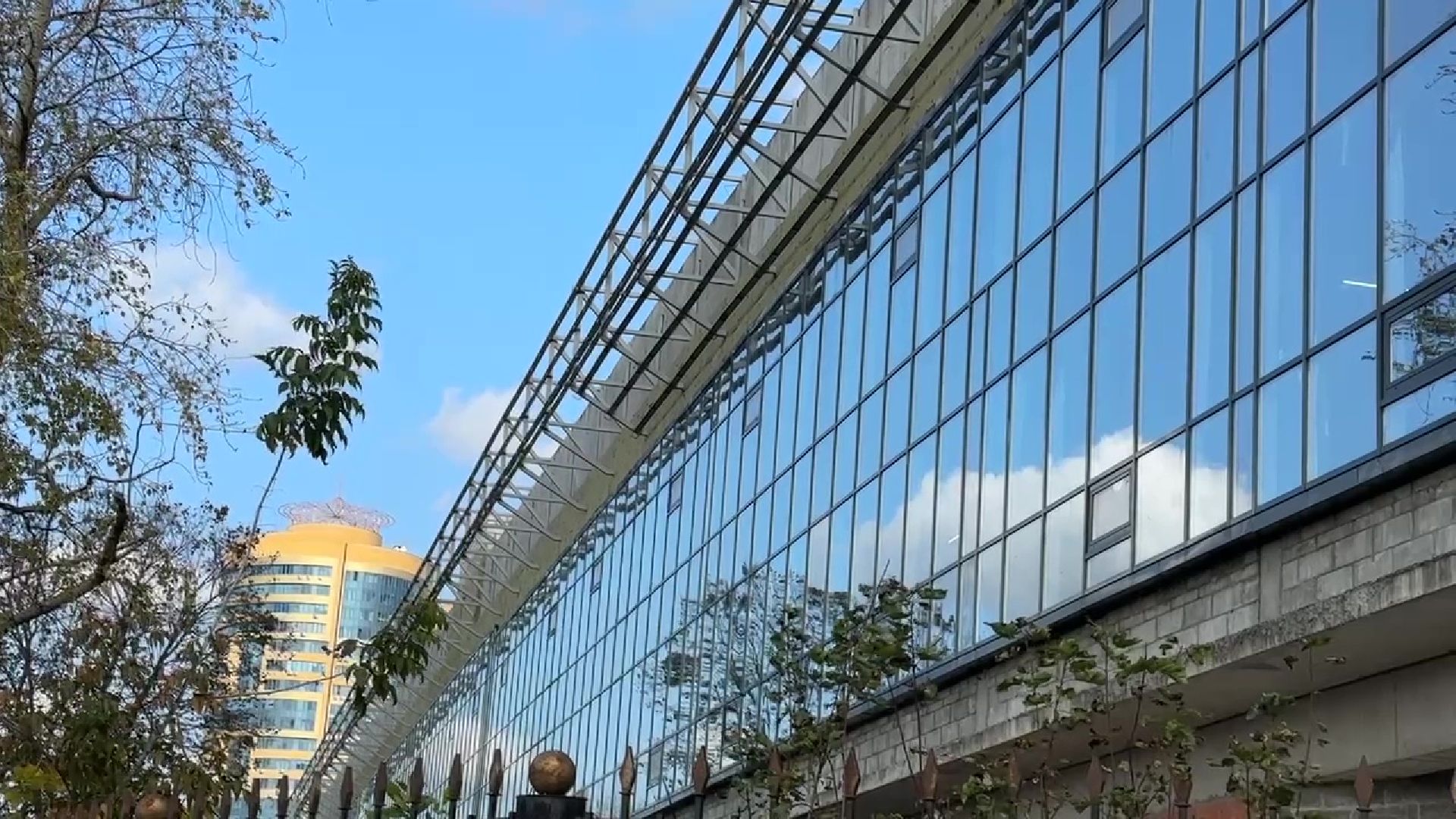 Реутов, ФОК, коплекс, спорт, бассейн,