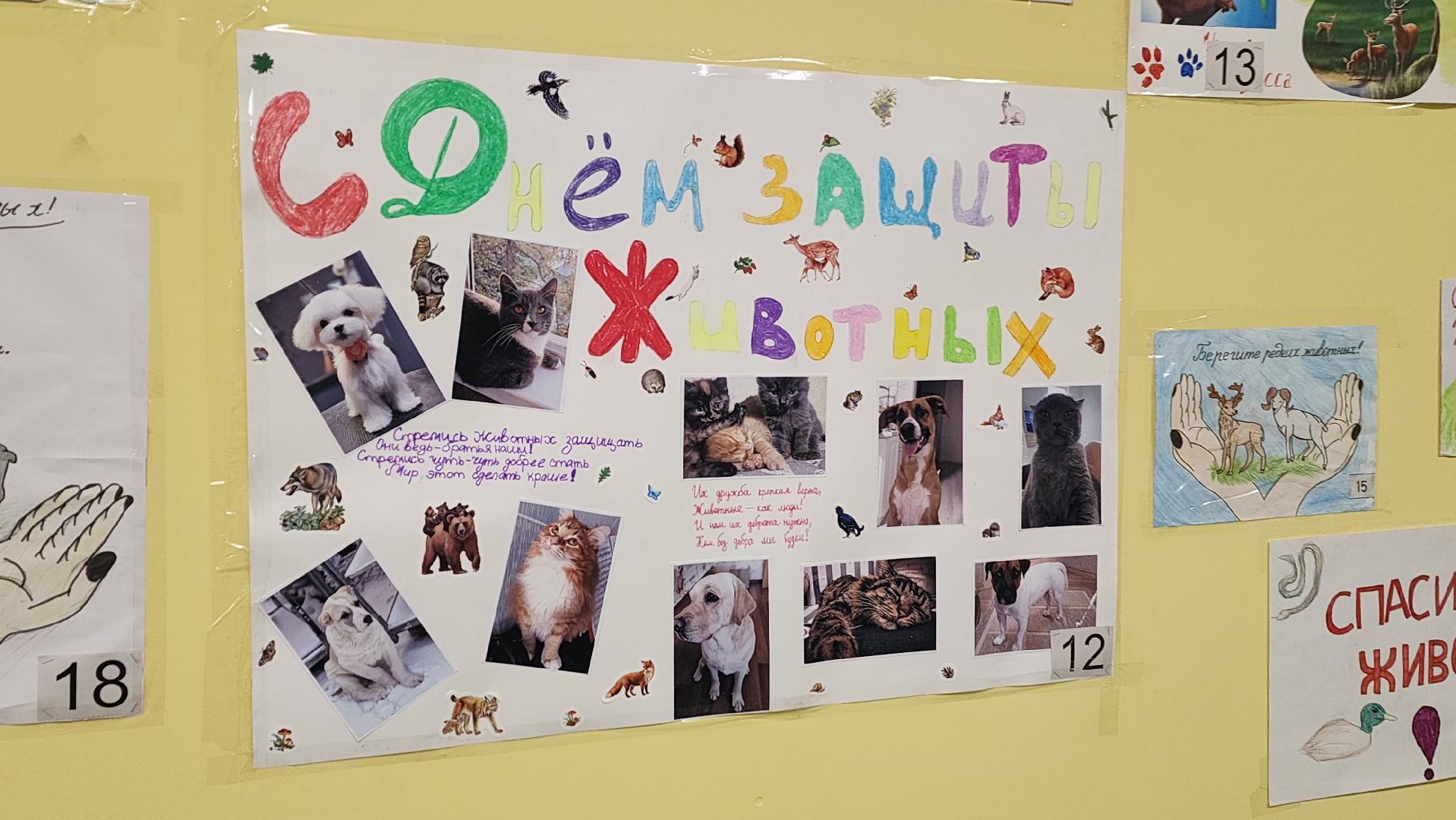 подмосковье, городской округ пушкинский, Ивантеевка, Образование, День учителя, родительский опыт,