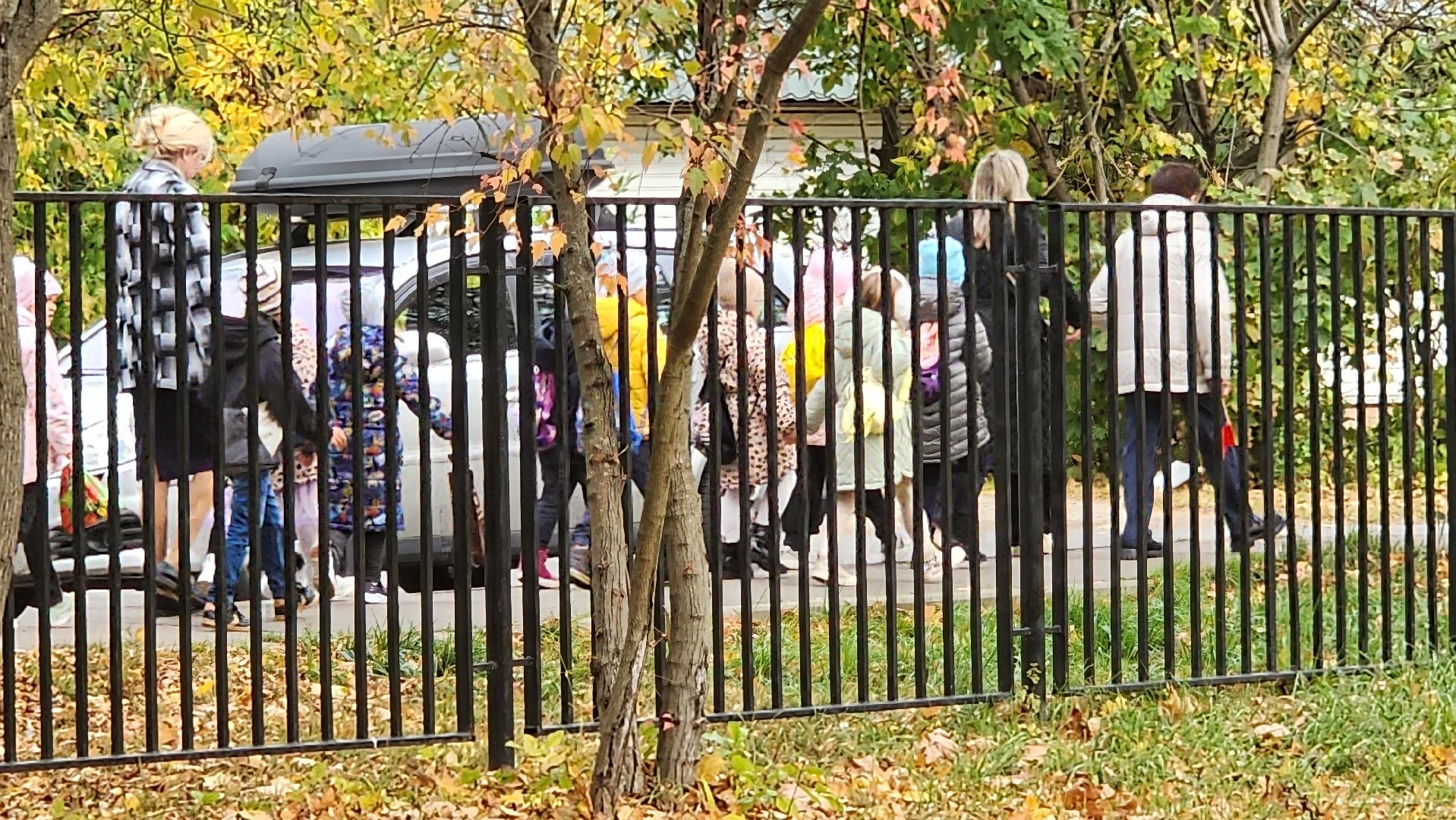 подмосковье, городской округ пушкинский, Ивантеевка, Образование, День учителя,