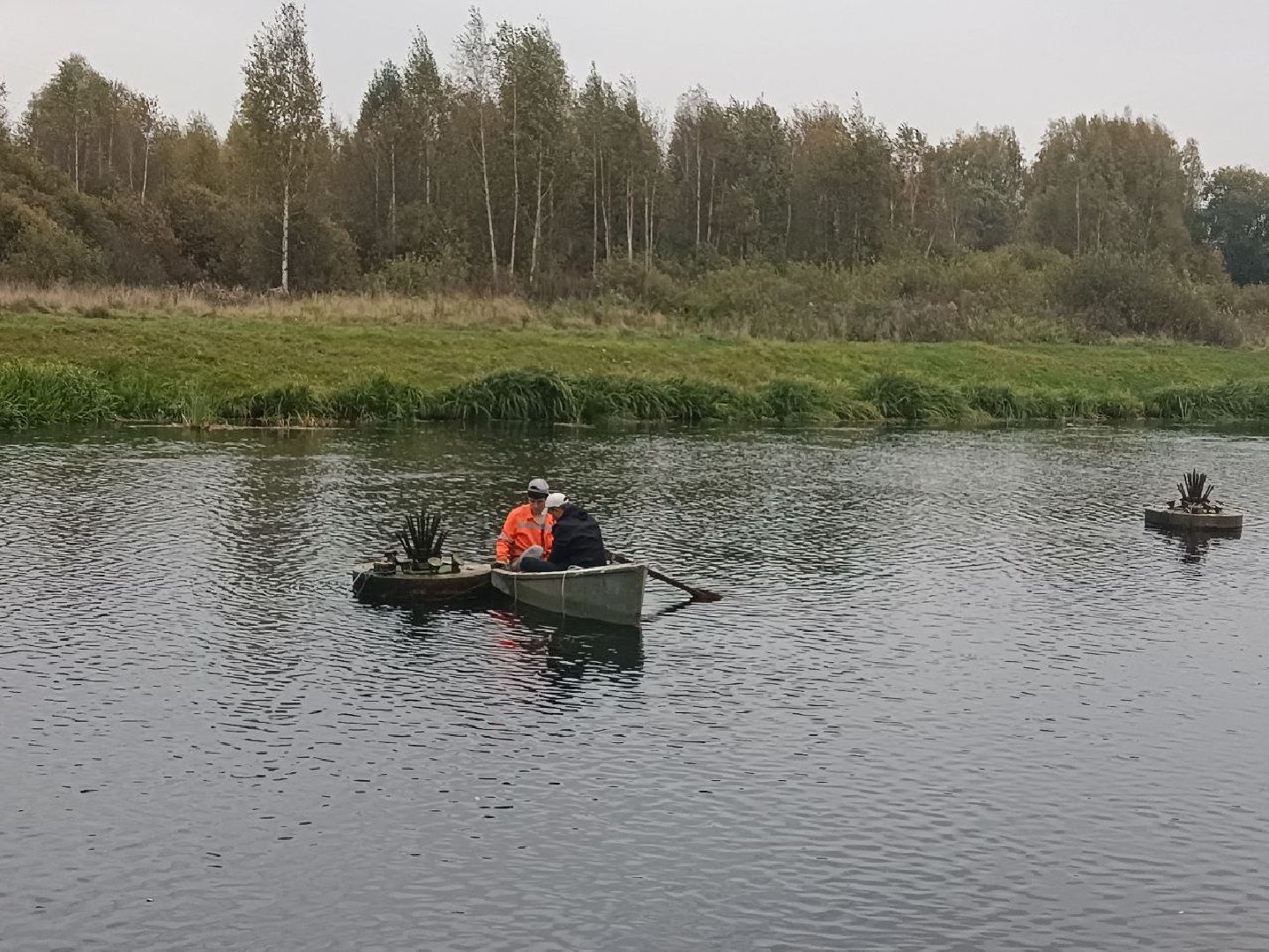 Подмосковье, городской округ пушкинский, Ивантеевка, парки подмосковья, благоустройство,