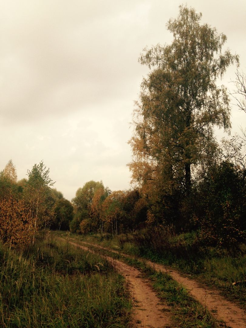 шаховская, мертвое озеро, легенда, байки, Страшилки,