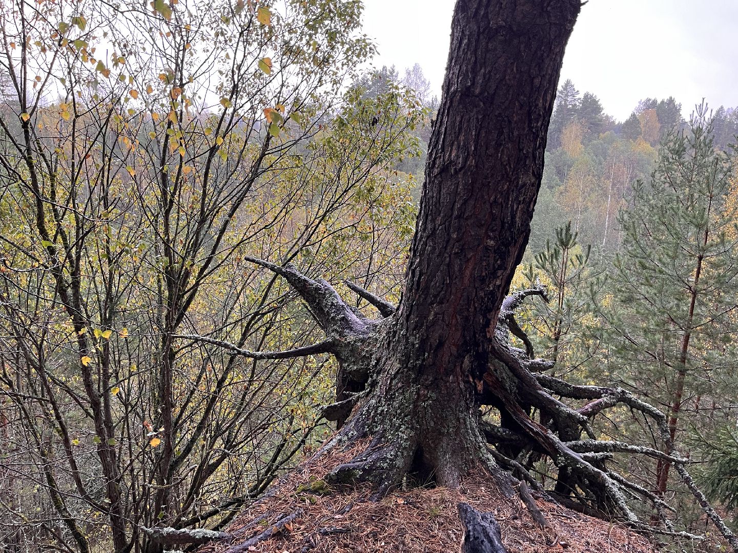 шаховская, мертвое озеро, легенда, байки, Страшилки,