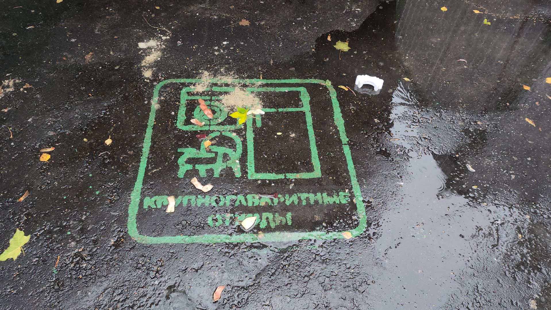 серпухов, подмосковье, Бункер, контейнерная площадка,