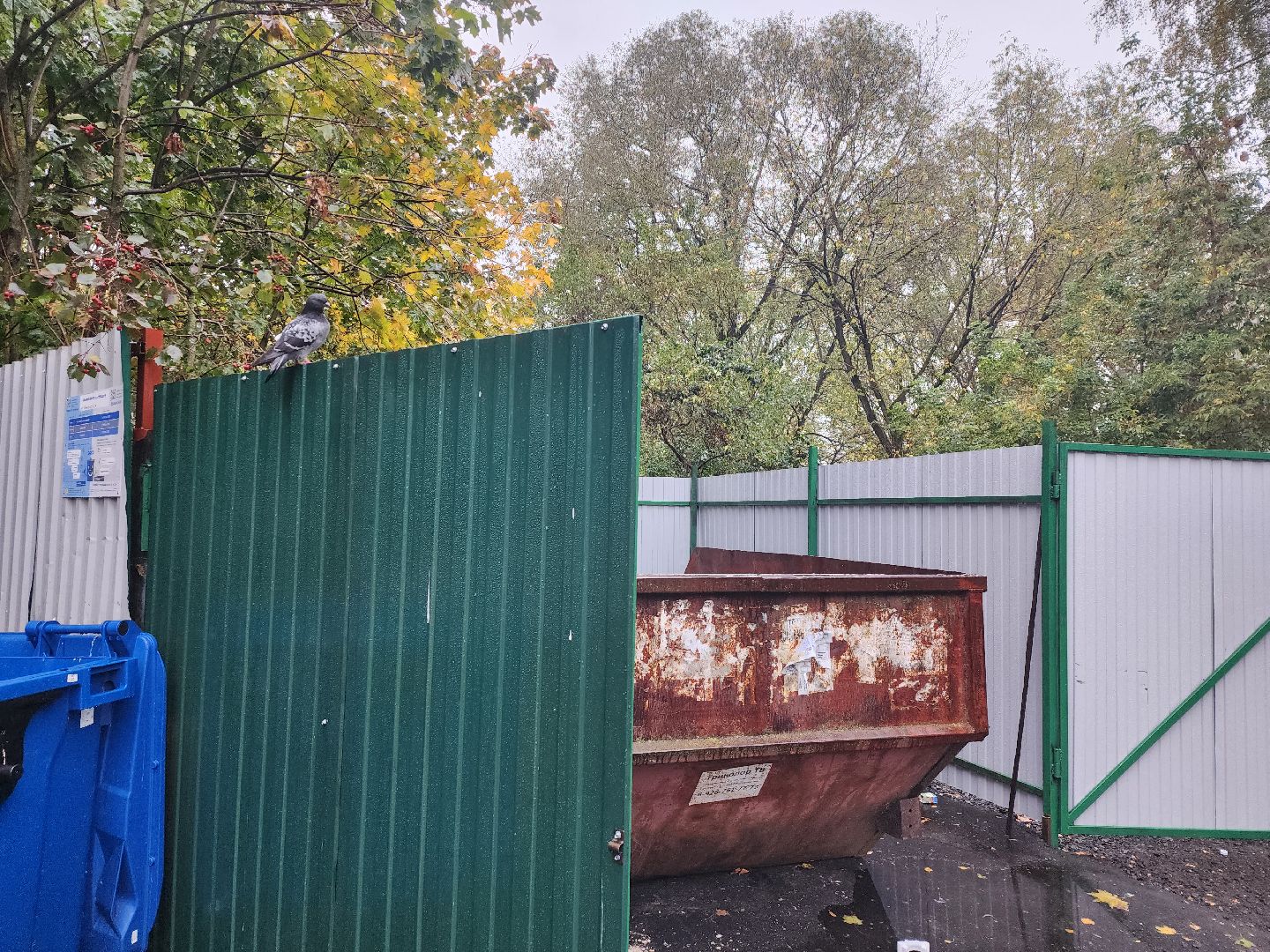 серпухов, подмосковье, Бункер, контейнерная площадка,