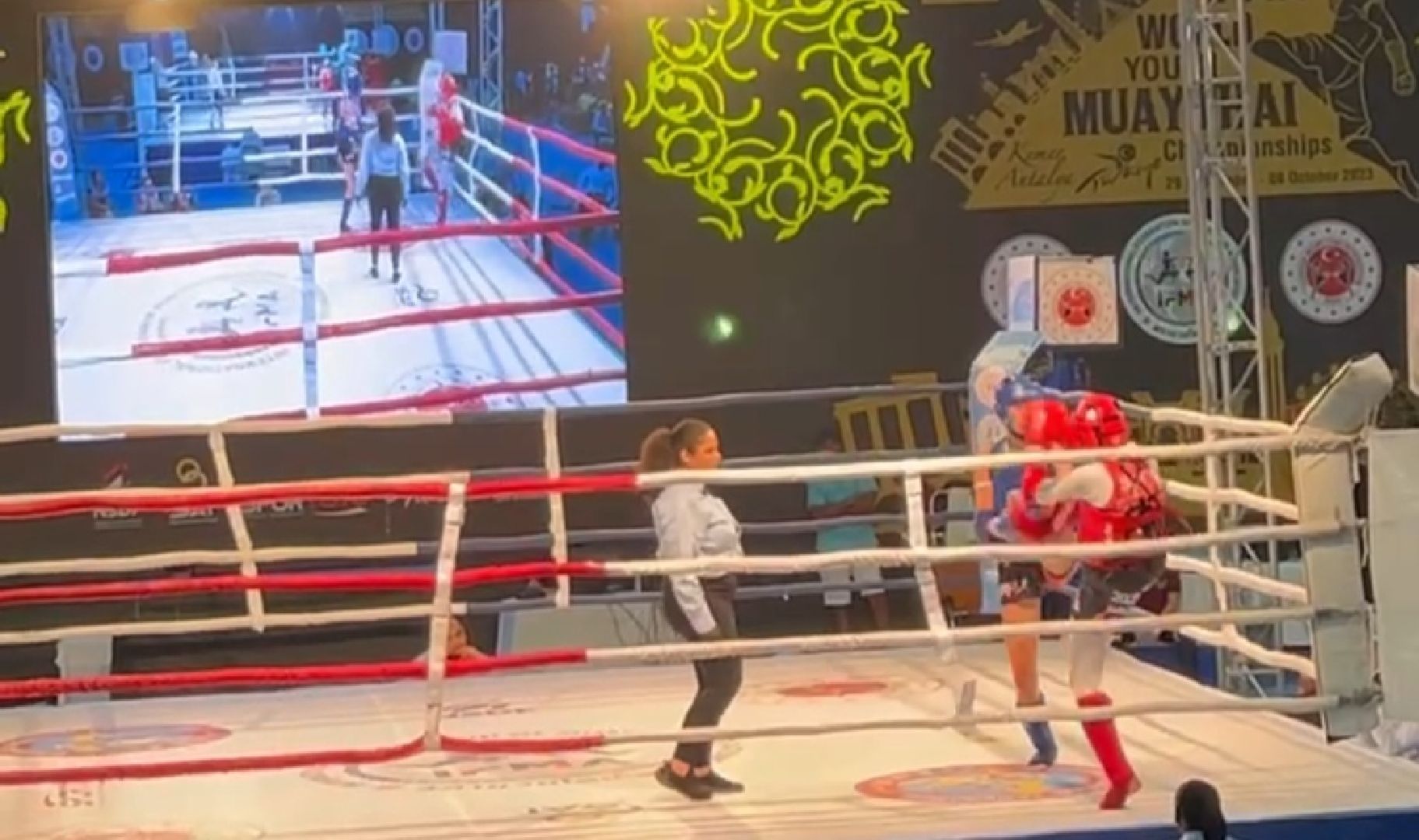 Первенство мира муай-тай, спорт, Серпухов, Подмосковье, тайский бокс, БК Кремень,