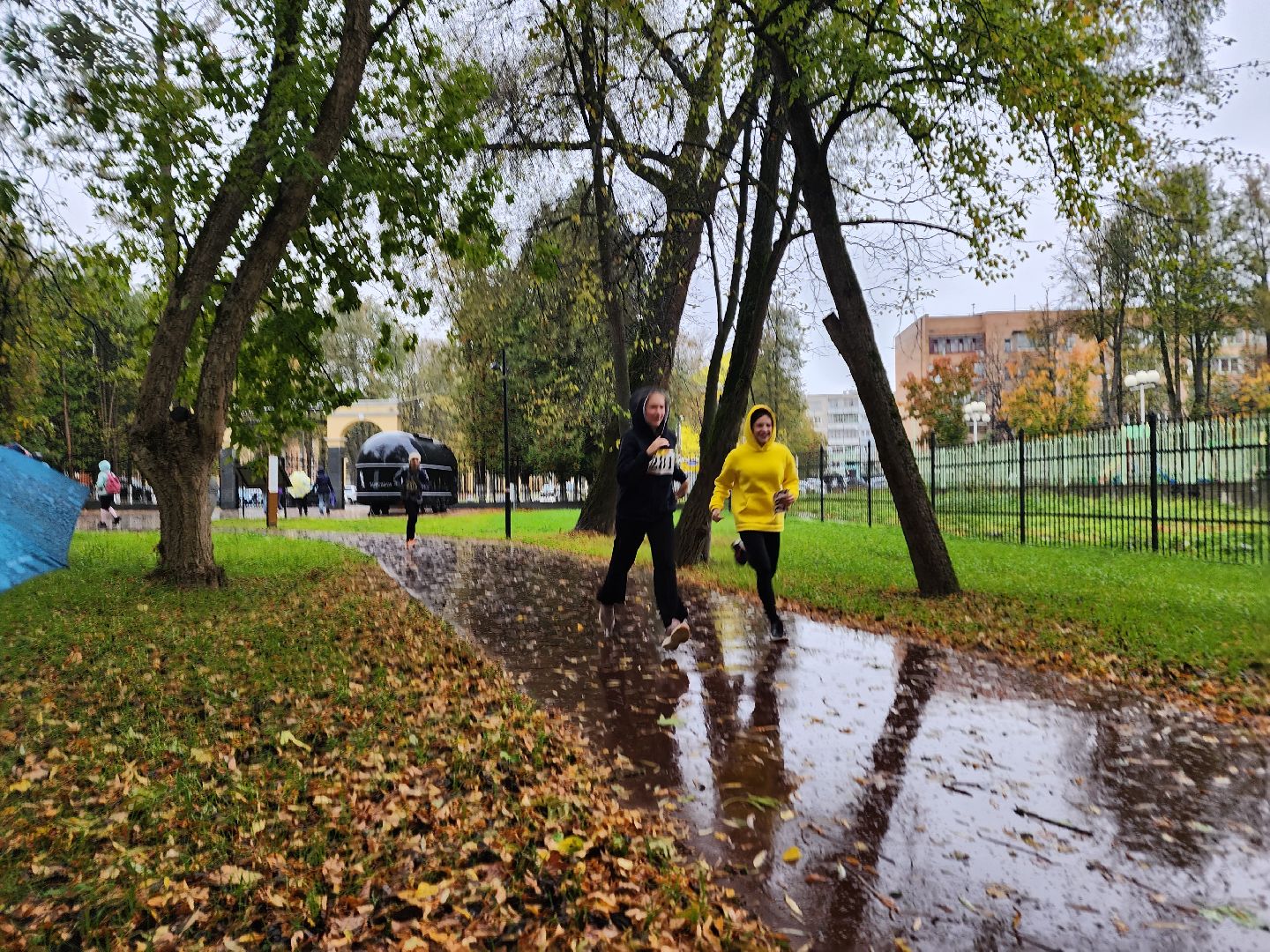 Ступино, парки подмосковья, осенний кросс,