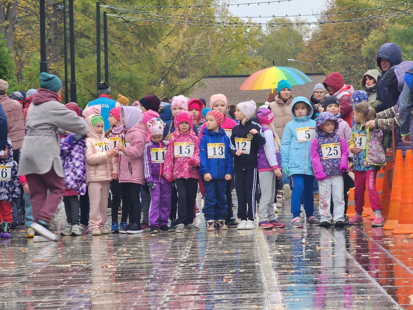 Ступино, парки подмосковья, осенний кросс,